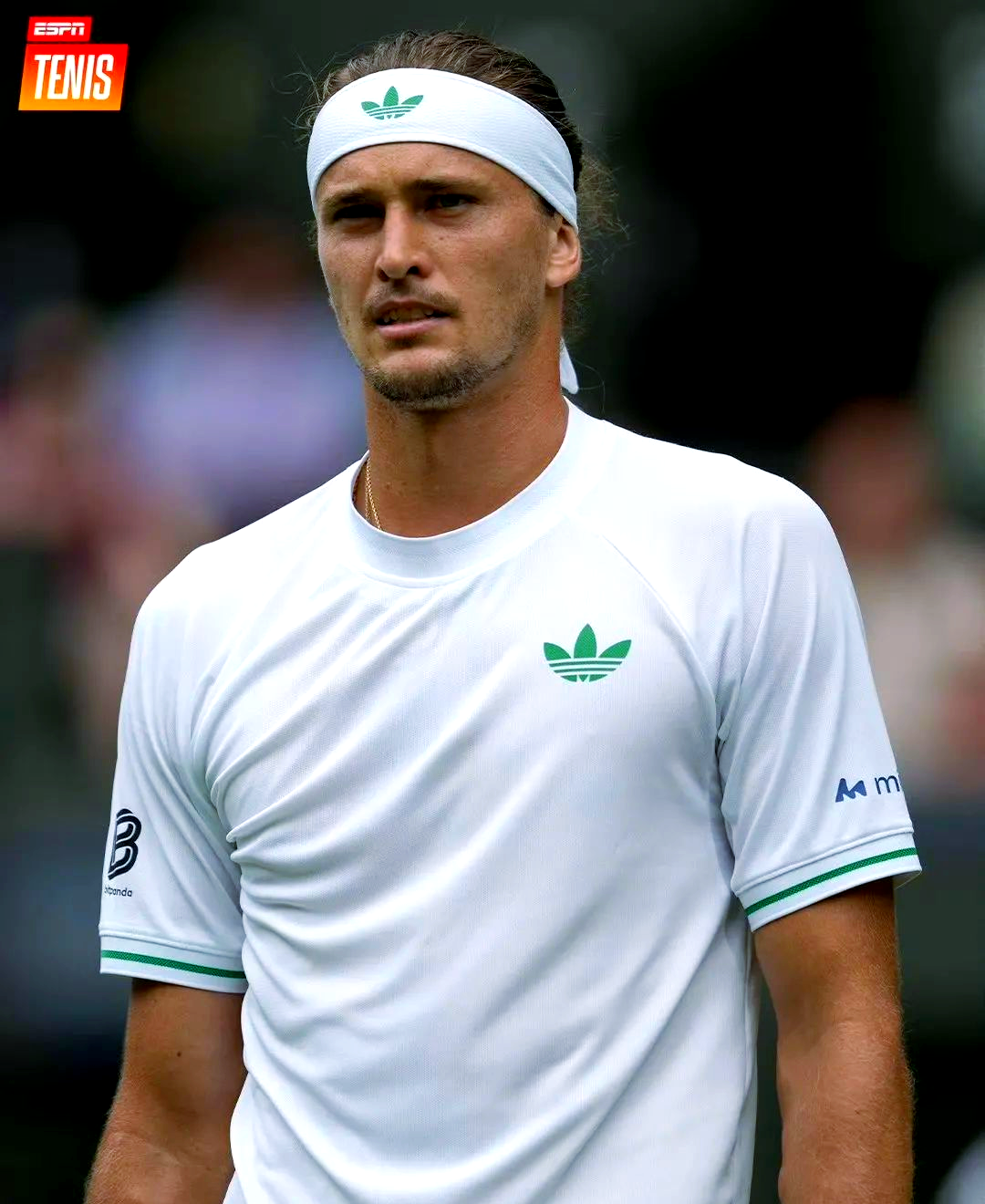 关于日本网球队爆冷德国网球队，兹维列夫送出助攻的信息